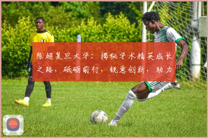陈超复旦大学：揭秘学术精英成长之路，砥砺前行，锐意创新，助力国家发展