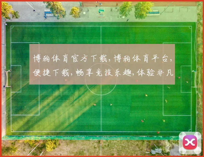 博狗体育官方下载,博狗体育平台,便捷下载,畅享竞技乐趣,体验非凡