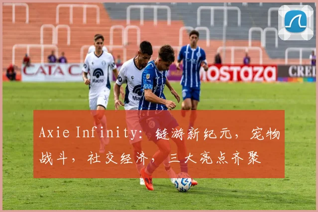 Axie Infinity：链游新纪元，宠物战斗，社交经济，三大亮点齐聚